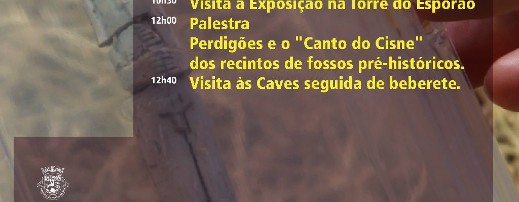 DiaAbertoPerdiges_F_0_1592560534.