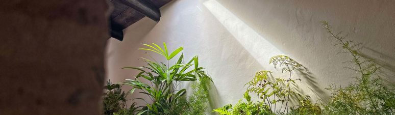 casa-avo-zezinho2025 (1)