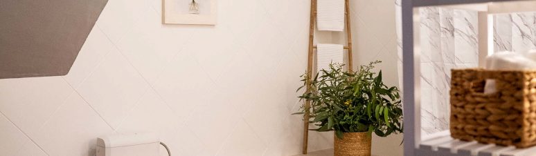 casa-avo-zezinho2025 (16)