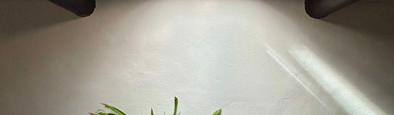 casa-avo-zezinho2025 (6)