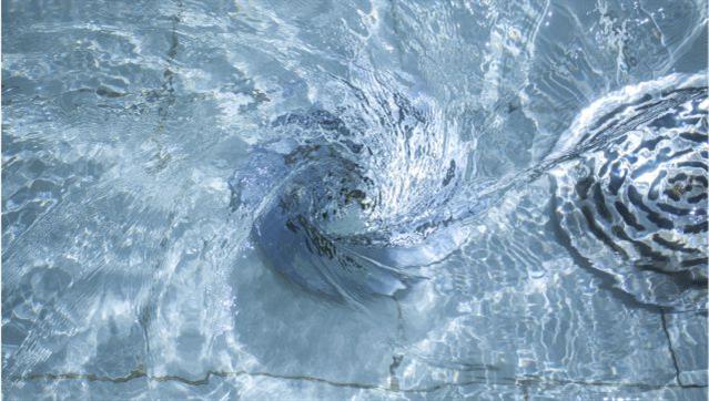 Piquete água e saneamento