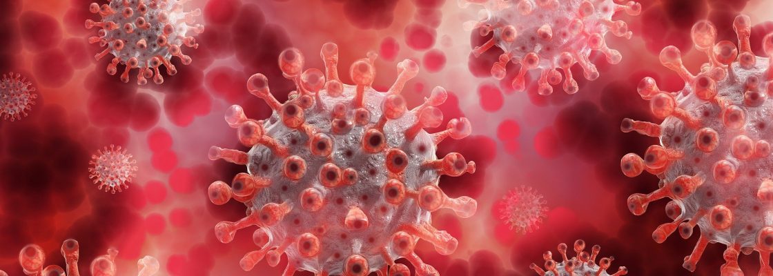 Arquivado: Plano de Contingência para Mercados e Feiras no âmbito da COVID-19