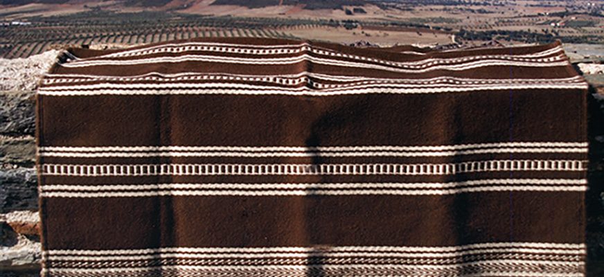 mantas-de-reguengos (3)