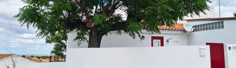 casa-sao-vicente (10)