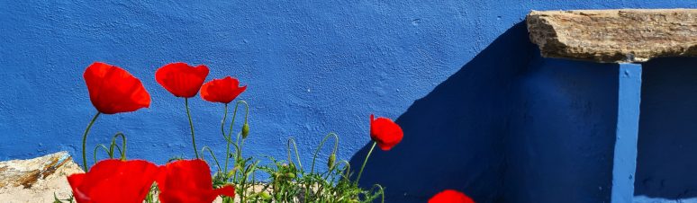 casa-sao-vicente (11)