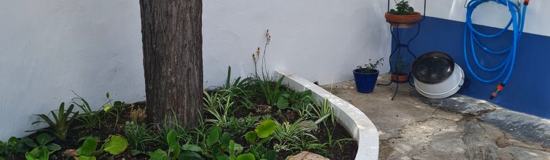 casa-sao-vicente (15)