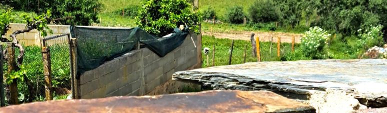 casa-sao-vicente (5)