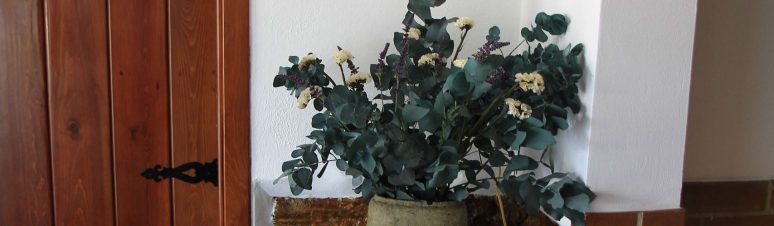 Casa dos Avós - Outeiro (18)