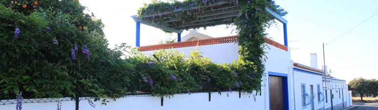 Casa dos Avós - Outeiro (3)