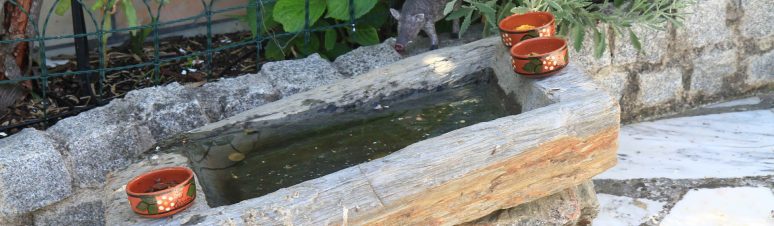 Casa dos Avós - Outeiro (6)