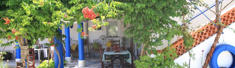 Casa dos Avós - Outeiro (9)