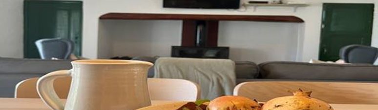 Casa Entre Vinhas_alojamento (6)