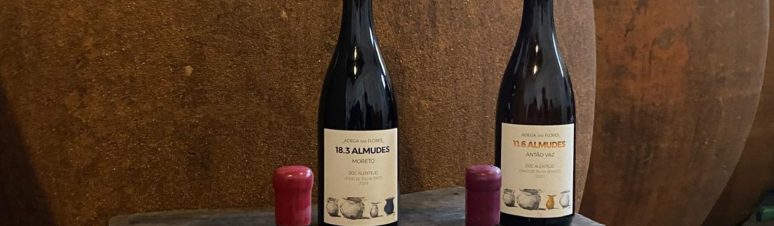 Adega das Flores (1)