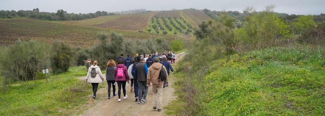 Percursos pedestres convidam a explorar o concelho de Reguengos de Monsaraz durante todo o ano