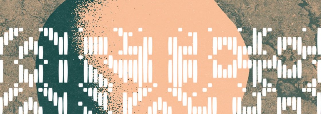 Arquivado: “Artesanato: ontem, hoje e amanhã” Encontros de Monsaraz 2025