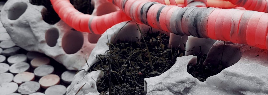 Arquivado: Exposição | “Em nome de uma coisa – As hóstias da Terra”